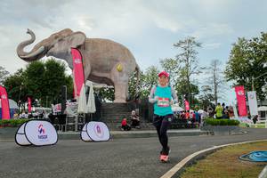 BIB: 
                            <button type="button" onclick="openModal(26528821)" class="btn btn-primary btn-sm float-right btn-popup" data-toggle="modal" data-target=".modal-high-quality">
                        <i class="fas fa-shopping-cart"></i> Add to Cart
                    </button>
                                            <button type="button" onclick="isThisMe(26528821, true)" class="btn btn-success btn-sm float-right btn-popup btn-isme hidden" data-toggle="tooltip" data-placement="bottom" title="นี่คือรูปของคุณใช่ไหม คลิกที่นี่เพื่อเอาเข้าอัลบั้ม">
                        <i class="fas fa-plus"></i> Add to album
                    </button>
                    <button type="button" onclick="isThisMe(26528821, false)" class="btn btn-warning btn-sm float-right btn-popup btn-isnotme hidden">
                        <i class="fas fa-ban"></i> Remove from album
                    </button>